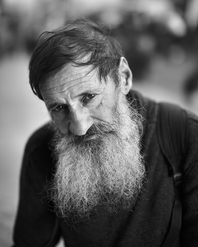 Ritratto di Strada Roma.jpg