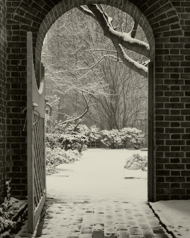 Secret Garden Redux Platinum.jpg