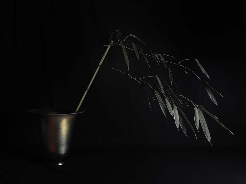 Steuben and Bamboo.jpg