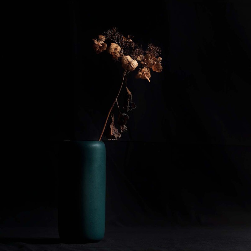 Still Life With Winter Hydrangea.jpg