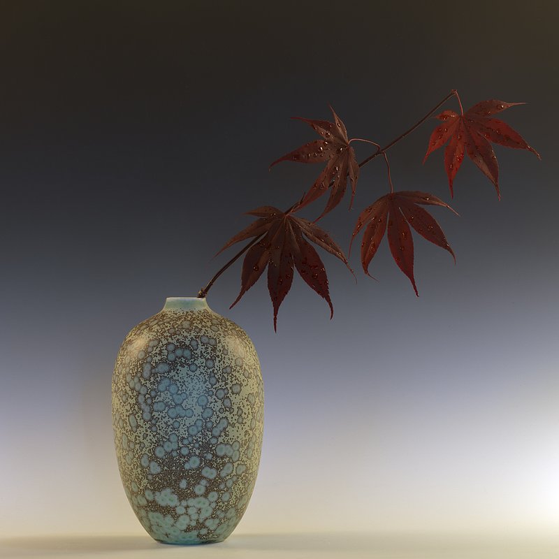 Still Life with Japanese Maple and Raindrops Polychrome.jpg