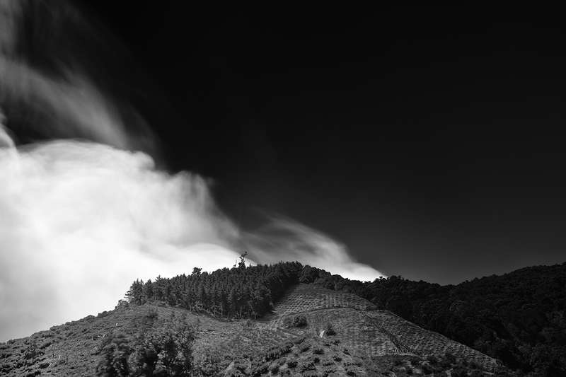 The Managed Landscape III.jpg