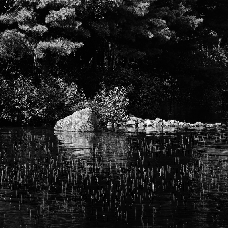 Thompson Lake Study(1).jpg