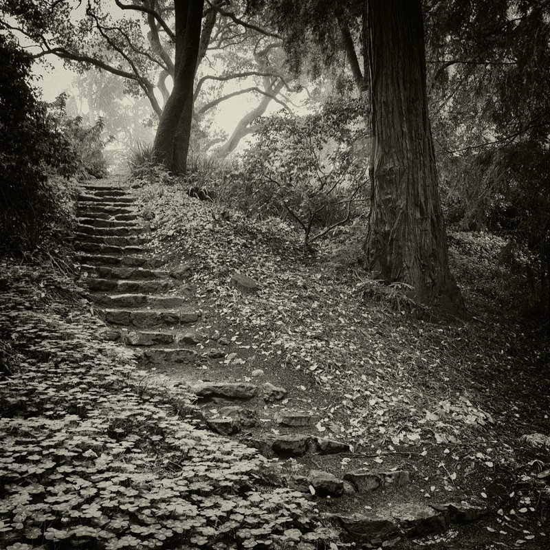 Twenty-two Stone Steps.jpg :: Selected for the cover of the journal \