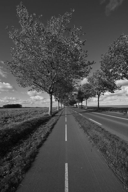 D7.jpg