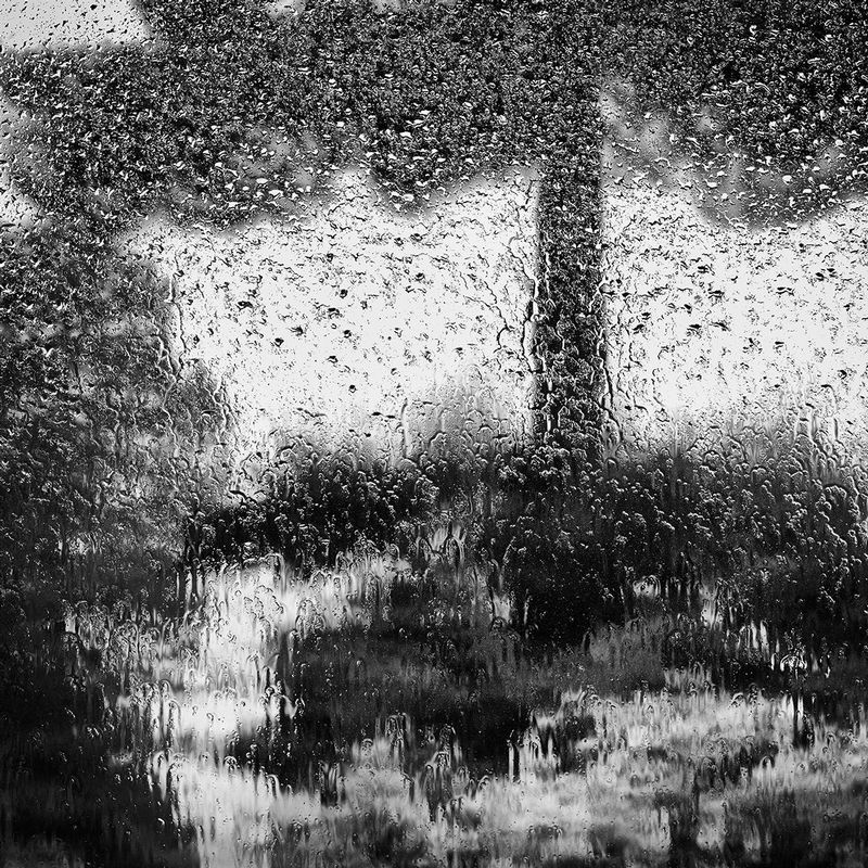Here and Now (The Interior Pane).jpg