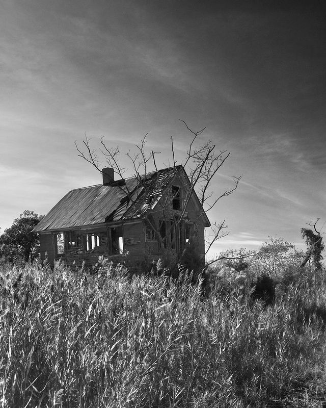Red House.jpg