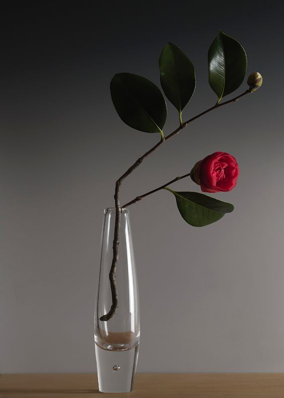 Still Life with Winter Camellia.jpg
