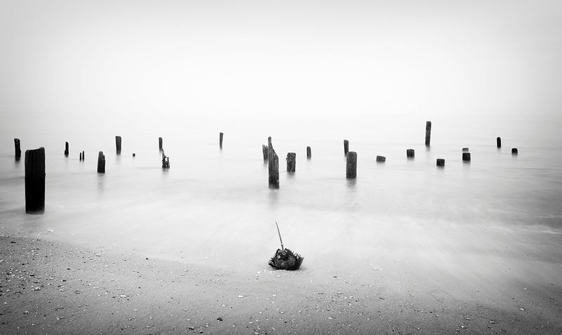 The Ordovician Age.jpg