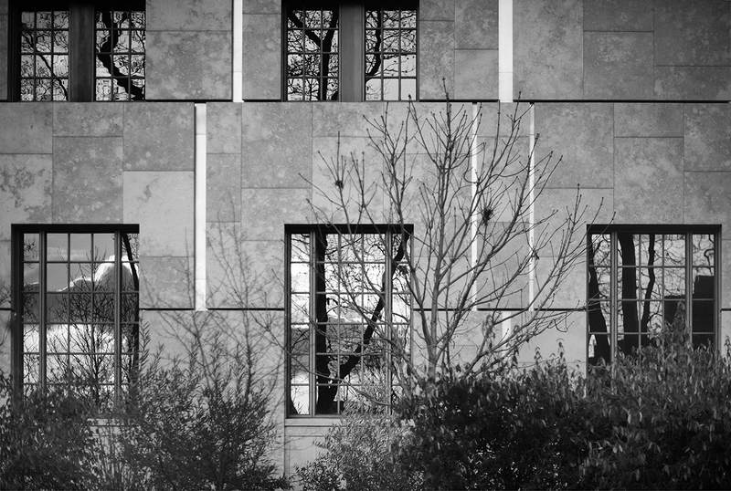 5 Windows.jpg