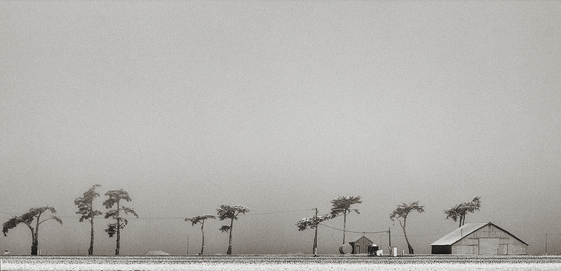 All the Live Long Day 1_25.jpg :: Archival pigment print on A3 hand-made Japanese paper (Bizan by Awagami Mills), signed and numbered 1/25, image size 4\