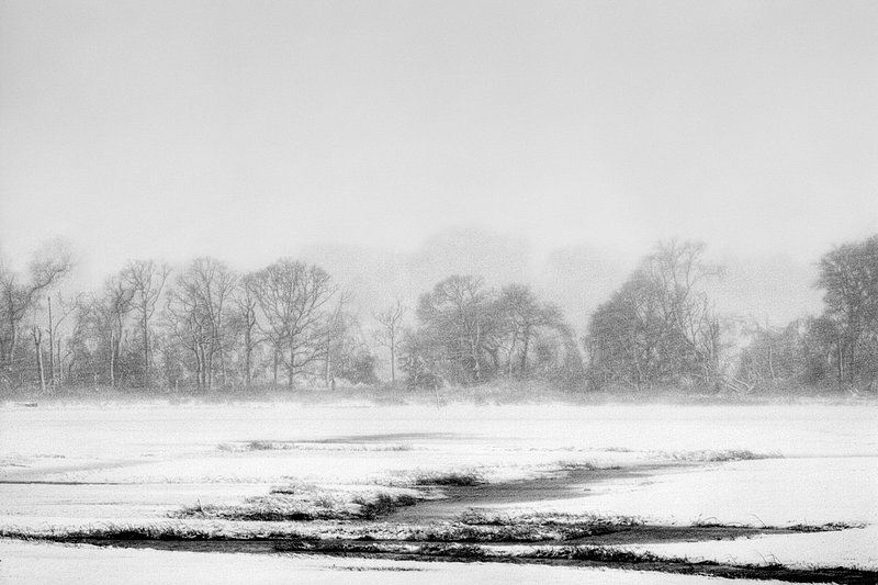 Blizzard Over Cape Island Creek Meadows.jpg