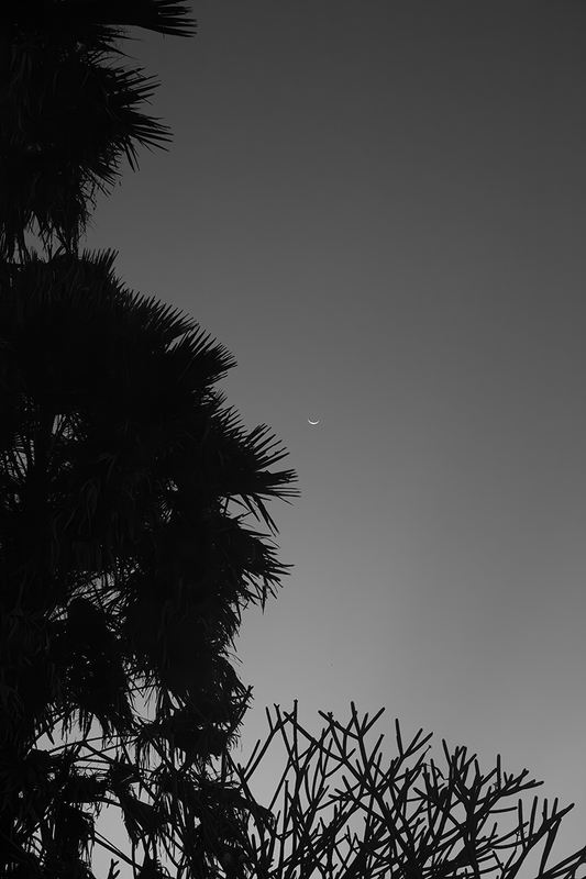 Cheshire Moon II.jpg