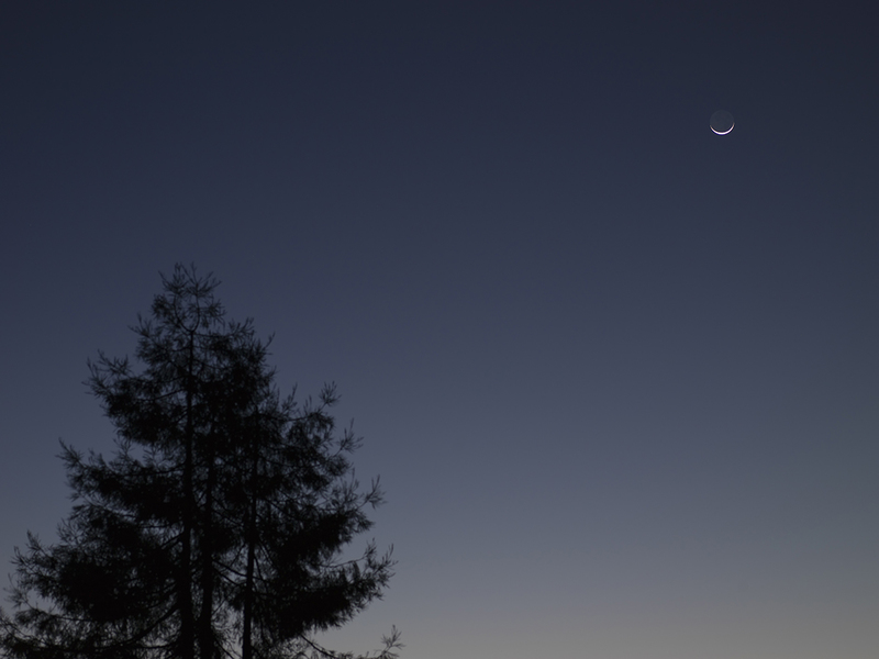 Cheshire Moon.jpg