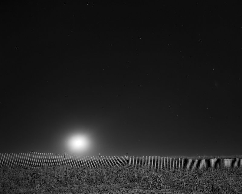 Fever on the Runway (Cape May).jpg