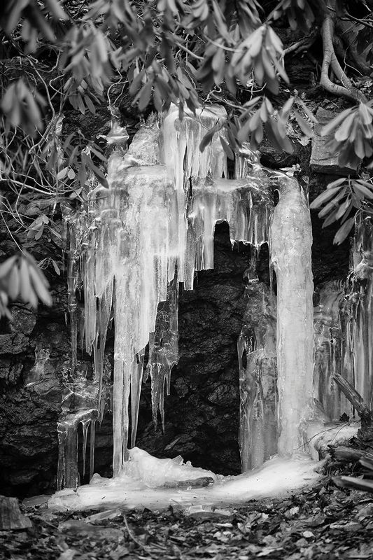 Ice Cave by the Wissahickon Creek.jpg