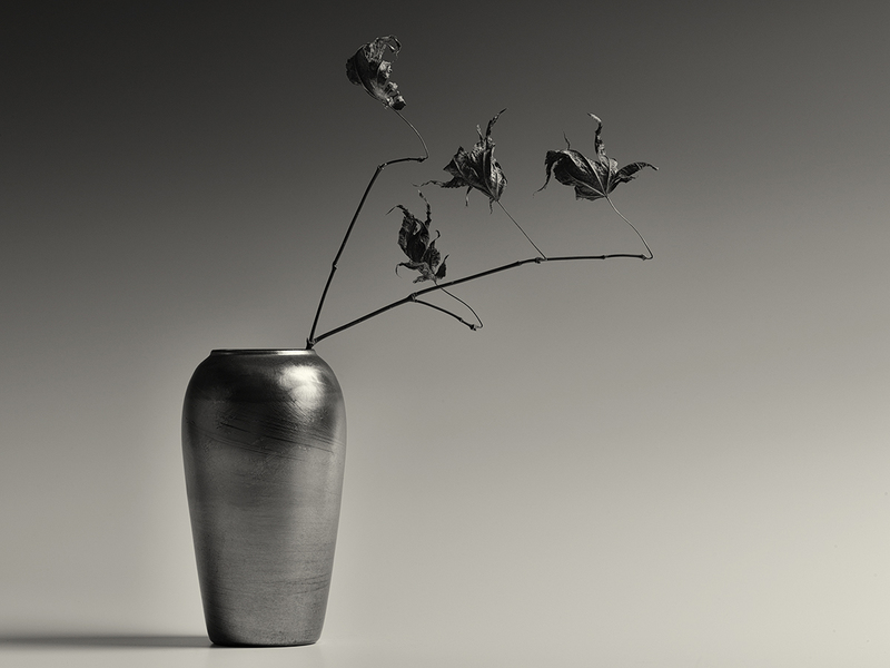 La Petite Mort (Schieles Garden) 1_25.jpg :: Archival pigment print on A3 hand-made Japanese paper (Bizan by Awagami Mills), signed and numbered 1/25, image size 11\
