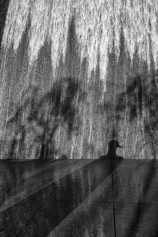 Metamorphosis (Las Vegas).jpg