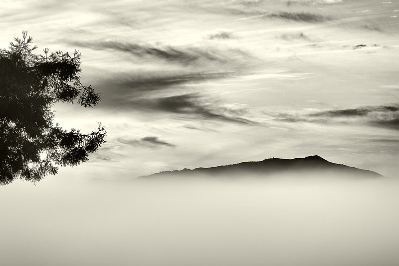 Mount Tam.jpg