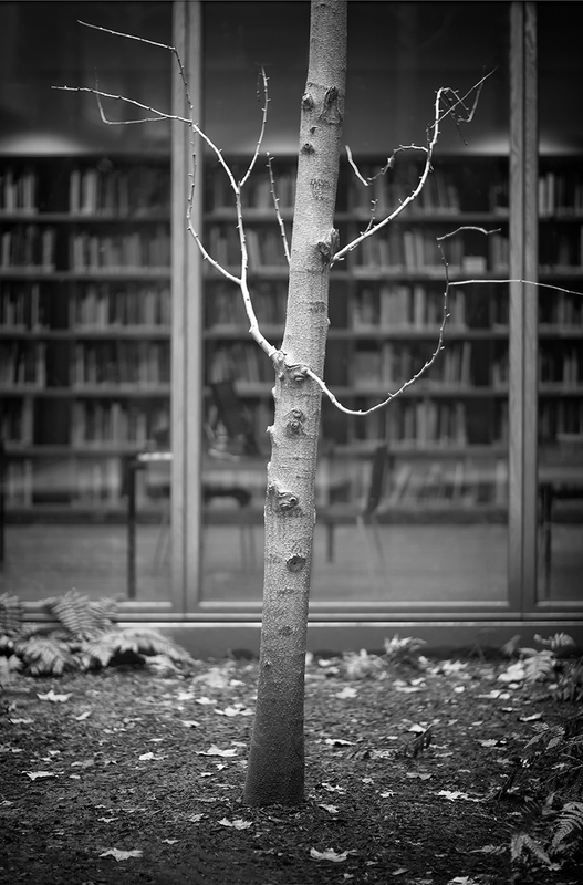 Naloxone (The Library).jpg
