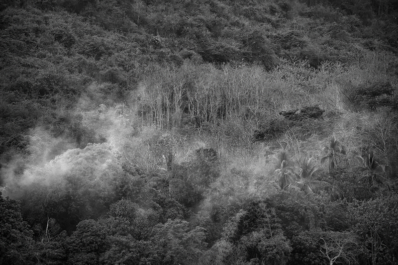 Of Our Elaborate Plans Redux (Burning Hillside).jpg