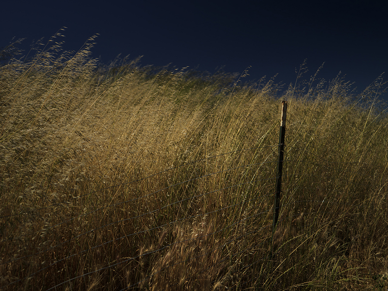 Panhandle II.jpg