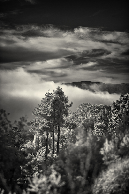 Peace and Havoc 1_25.jpg :: Archival pigment print on A3 hand-made Japanese paper (Bizan by Awagami Mills), signed and numbered 1/25, image size 8\
