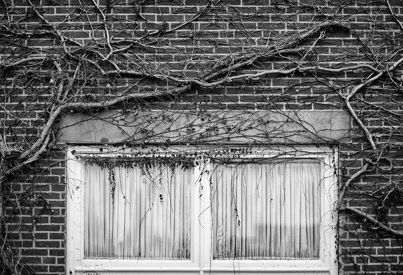 Quarantine (Two Curtained Windows).jpg