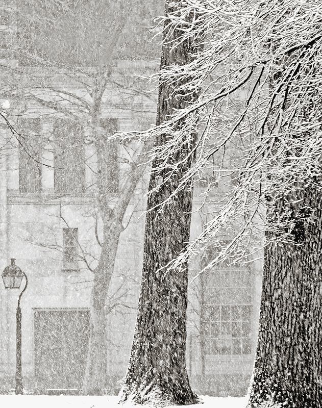 Snow Composition 1_10.jpg :: Archival monochrome pigment print of an original photograph made in Washington Square Park, Philadelphia, 2005.  Printed on A2 (16.53 x 23.39 inches) hand-made Japanese paper (Bizan by Awagami Mills), image size 15\