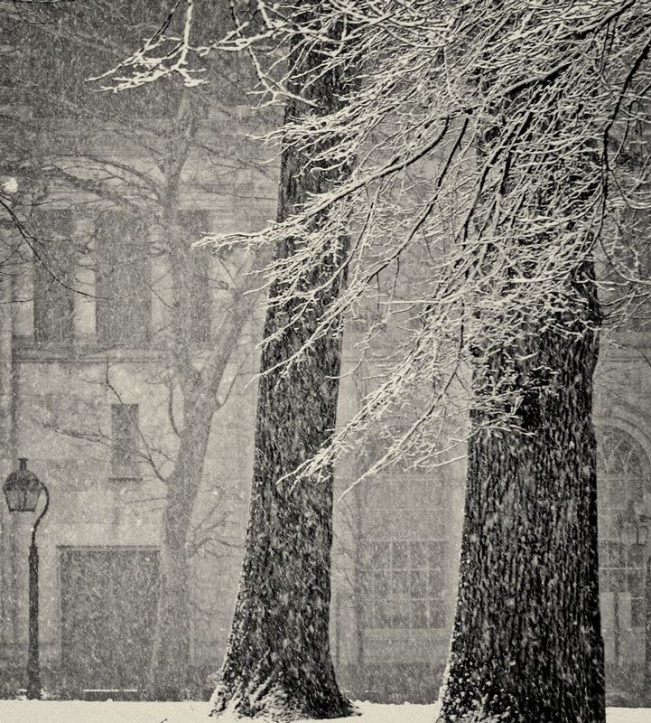 Snowfall Study Washington Square Park.jpg