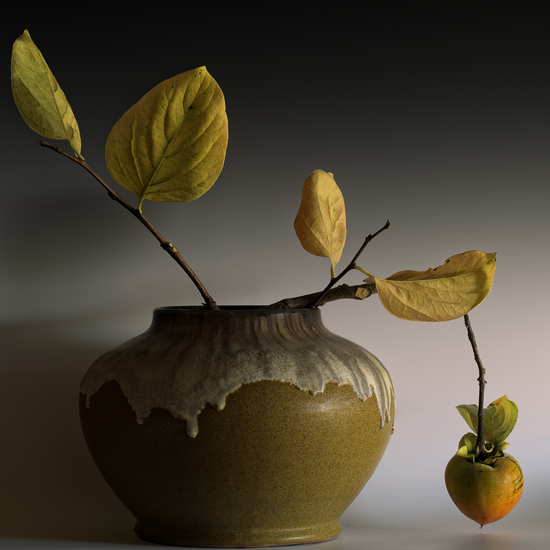 Still Life with Persimmon II.jpg