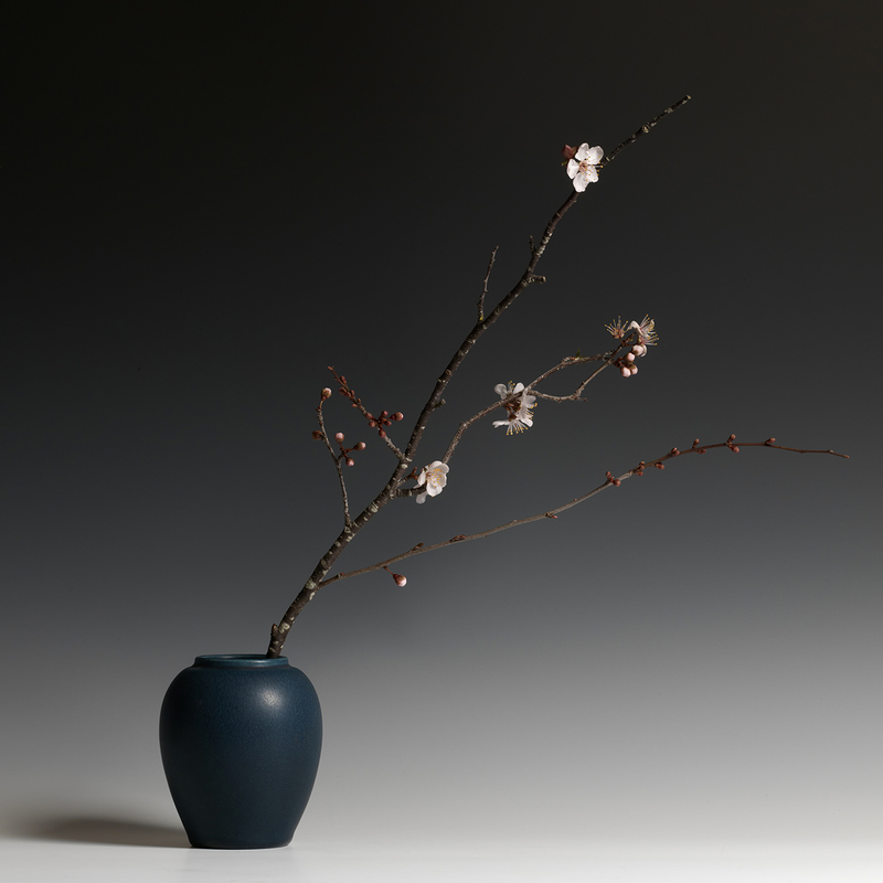 Still Life with Plum Flower.jpg