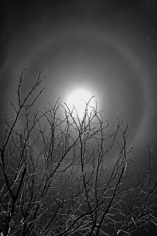 The Moon is the North Winds Cookie.jpg