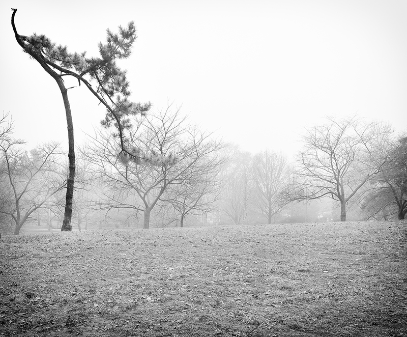 Twenty Six Oh One (Fairmount Park).jpg