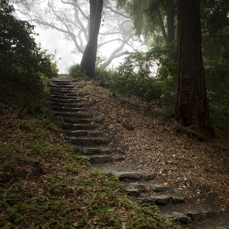 Twenty-two Stone Steps Redux.jpg