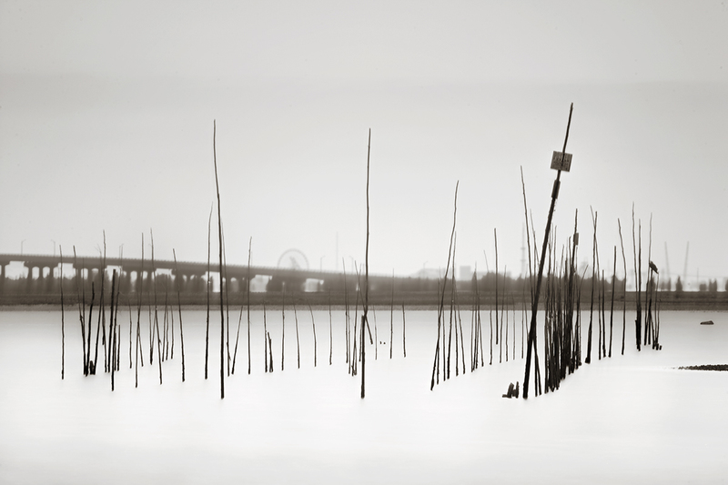 Vibrissae 1_25.jpg :: Archival pigment print on A3 hand-made Japanese paper (Bizan by Awagami Mills), signed and numbered 1/25, image size 8.5\