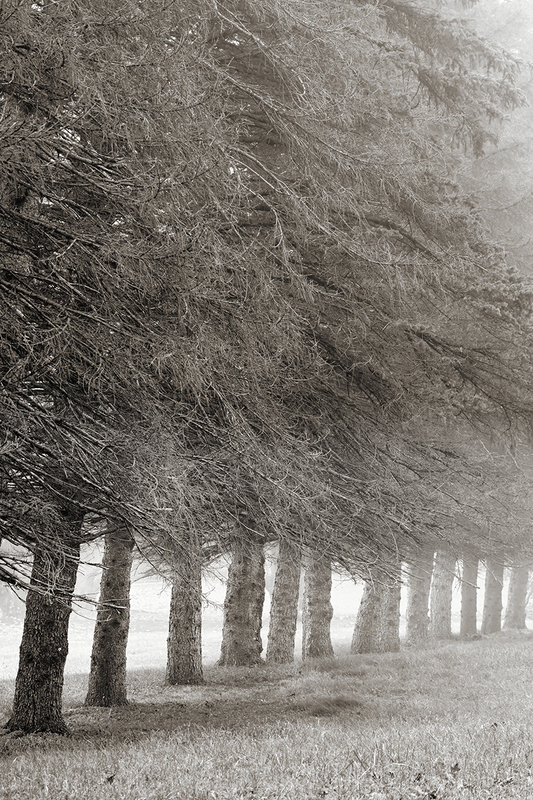 Waiting For You in Vain On Comfort Road.jpg