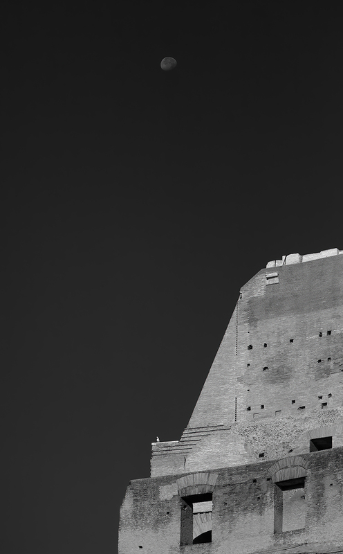Waning Gibbous Moon and Seagull (Coliseum).jpg