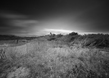 The Heroic Landscape.jpg
