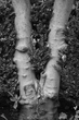 Woodcut.jpg