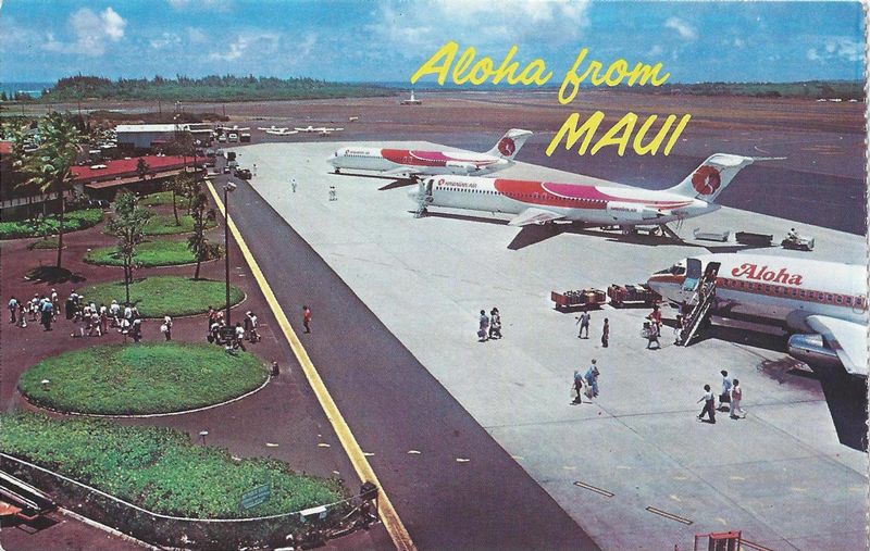 USA HI Maui ARPT 2.jpg :: USA, Hawaii, Maui. Image courtesy of John Anderson.