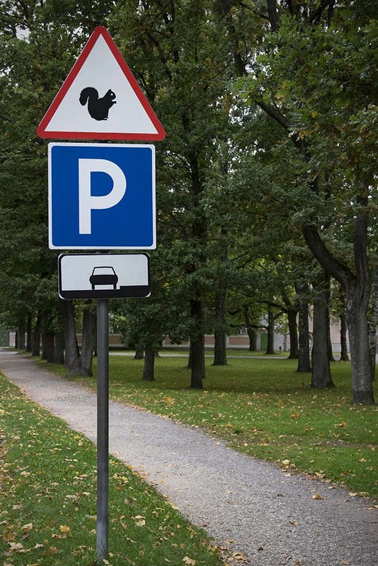 2017_31 EE SquirrelWarning.jpg :: Squirrel warning