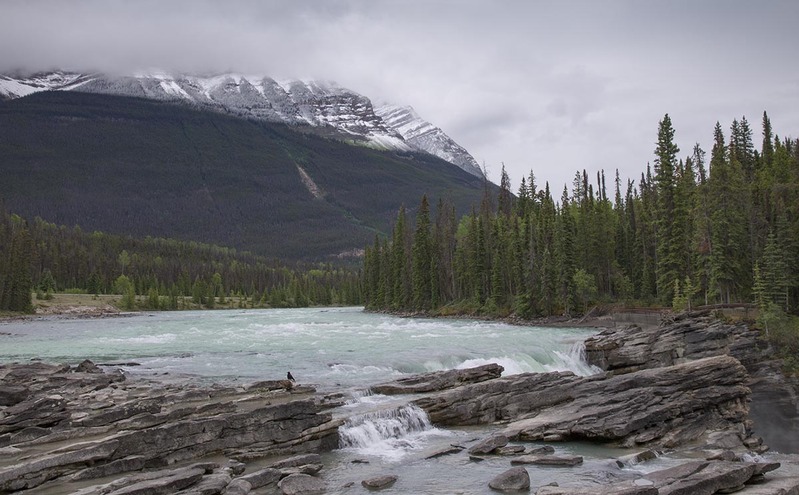 CA2023018 JasperNP.jpg :: Jasper National Park