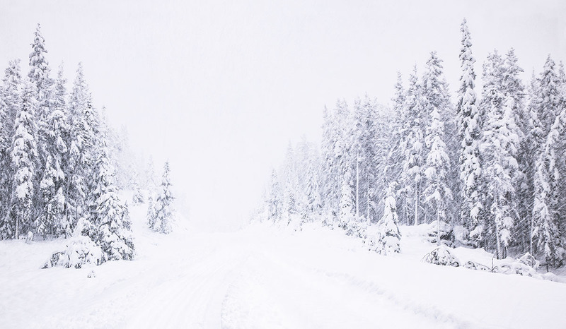 CA2023021 Snowstorm.jpg :: Blizzard