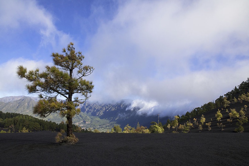 ES2023_015 Vulcanicscape.jpg :: Vulcanic Landscape Tajogaite