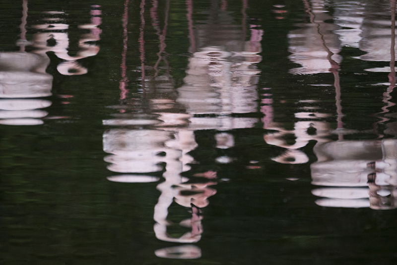 NL_WDFA001 Flamingos.jpg :: Watered down