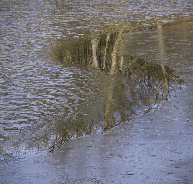 NL_WDS2026_001cw Reflection.jpg :: Reflection