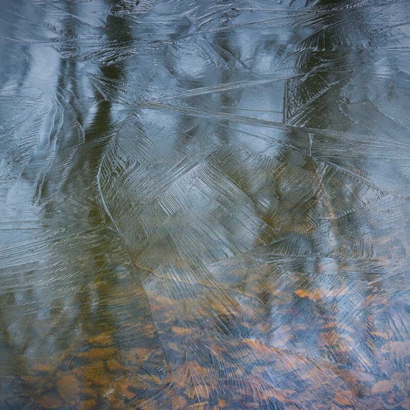 NL_WDS2026_002sw Frozen.jpg :: Frozen