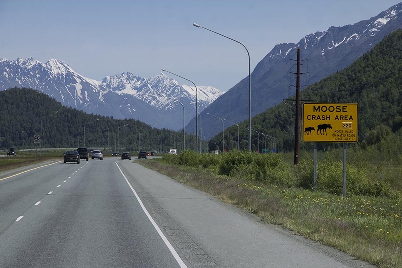 US2025 003 MooseWarning.jpg :: Caution: Moose