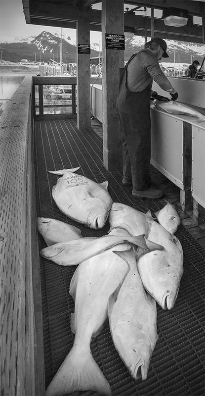 US2025 034 FishProcessingStation.jpg :: Fish Processing Valdez